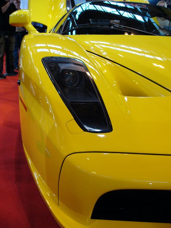 Ferrari Enzo on the SRO Motorsports Group stand at the 2005 Autosport International Show at the Birmingham NEC