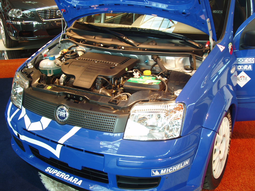 Fiat Panda Multijet rally car concept at the 2005 My Special Car Show in Rimini