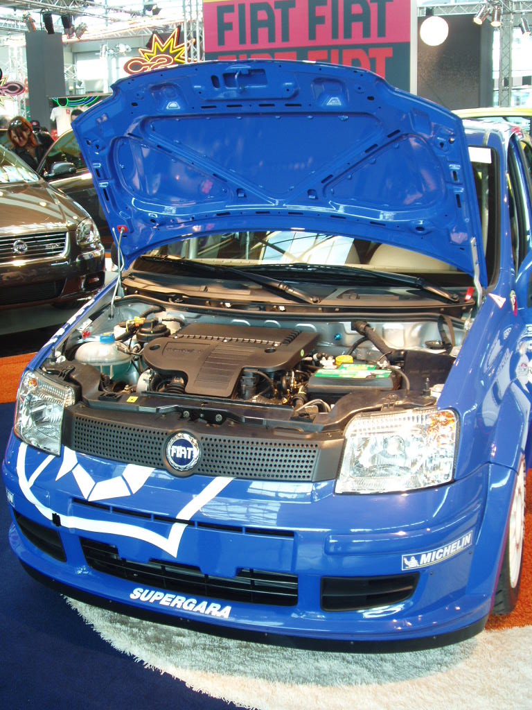 Fiat Panda Multijet rally car concept at the 2005 My Special Car Show in Rimini