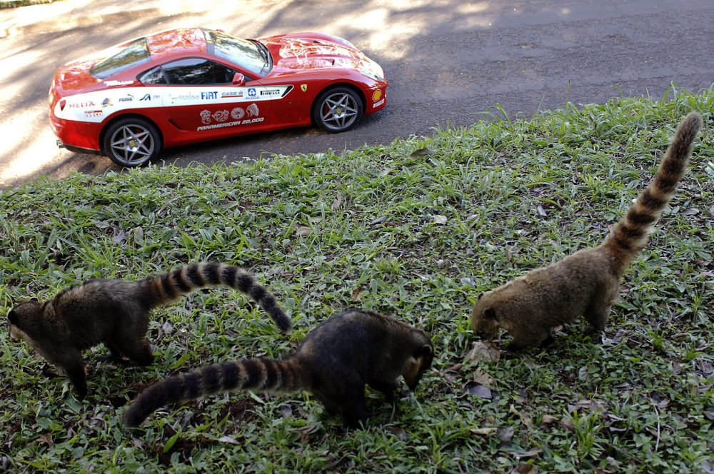 Ferrari Panamerican 20,000 - Foz do Iguau