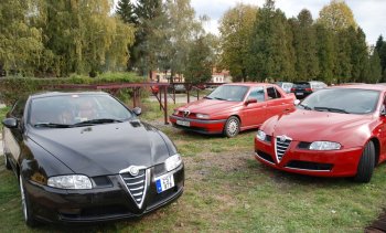 ALFA GT