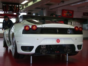 PETERSEN MOTORSPORTS/WHITE LIGHTNING FERRARI F430GT