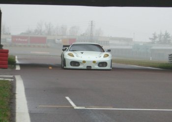 PETERSEN MOTORSPORTS/WHITE LIGHTNING FERRARI F430GT