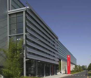 MARANELLO