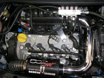 206.jpg