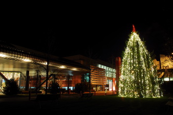 FERRARI CHRISTMAS TREE