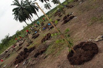 SIME DARBY AND AROC MALAYSIA - ALFA ROMEO CENTENARY - "100 TREES FOR 100 YEARS"