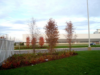 Chrysler Group Trenton South Engine Plant was presented with The Michigan Plaque today in recognition of the plants landscaping enhancements, helping make it one of the most environmentally-friendly facilities in the world.