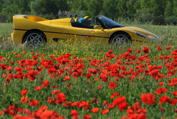 FERRARI F50