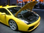 click here to see this image of the Lamborghini Gallardo in high resolution